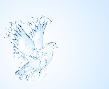 dove made out of water splashes isolatedの写真素材