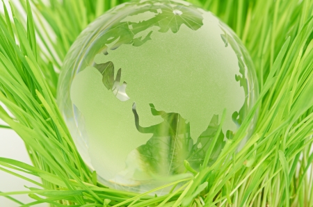 Environment concept, glass globe in the grassの写真素材
