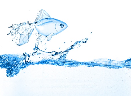 water fish jumping over slash blue waterの写真素材