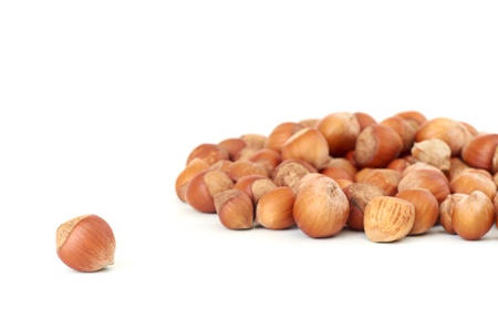 Filbert on white backgroundの写真素材