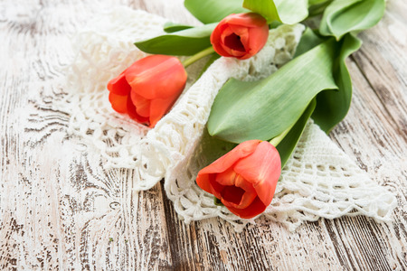 red tulips on white backgroundの写真素材