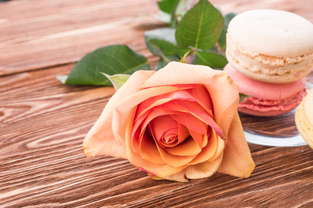 rose flower on wood backgroundの写真素材