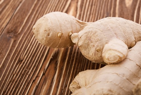 Gingerの写真素材