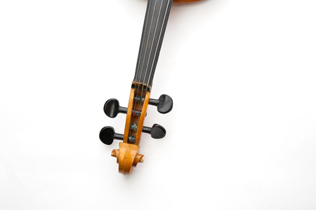 violin on white background