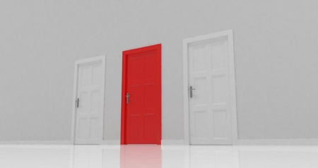 3d door render vote concept