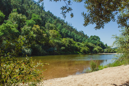 portuguese river Mondego in summerの写真素材