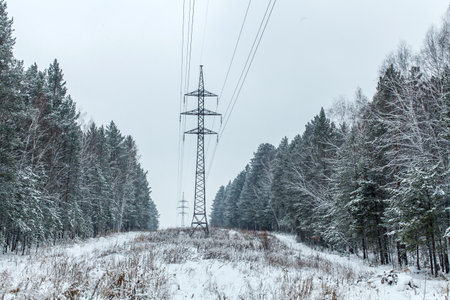a power line in winter in the woods in snowfallの写真素材