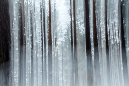 an abstraction of an snowy forest in winter in Siberiaの写真素材
