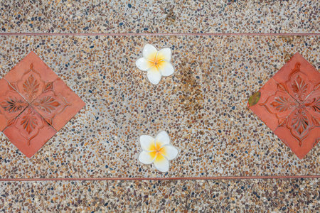 a ceramic tile on the floor of the Buddhist temple Wat Chalong on Phuket island of Thailandの写真素材