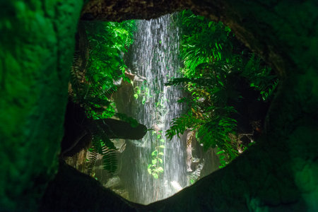 a waterfall in the jungles at nightの写真素材