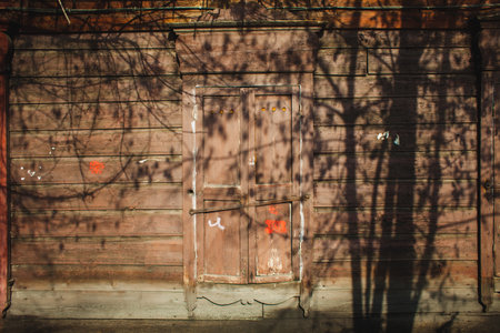 tree shadows on a window of a wooden house in spring in Siberiaの写真素材