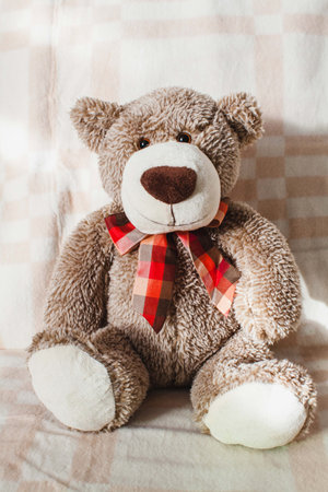 a Teddy Bear toy