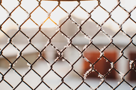 netting fence covered with frost