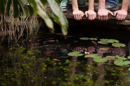 four hands at an artifitial pond