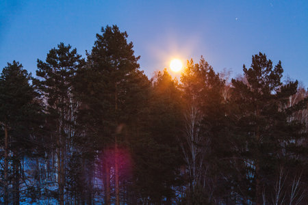 full moon rise above the forest in winter at duskの写真素材