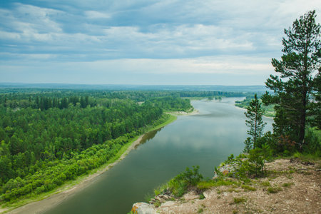 A lone bird perched on a bare tree branch overlooking a meandering river with sandbars and lush...