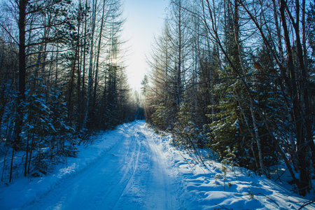 a winter road in the Siberian taiga