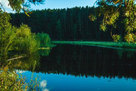 A peaceful river reflects dense green trees and the clear blue sky, creating a serene, natural landscapeの写真素材
