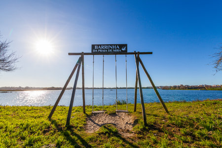 A swing set stands on a grassy bank overlooking a calm lake under a clear blue sky, with trees framing the sceneの写真素材