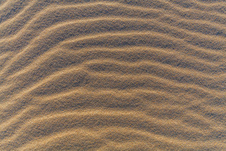 Ripples and ridges create a textured pattern on the surface of a sand dune.の写真素材