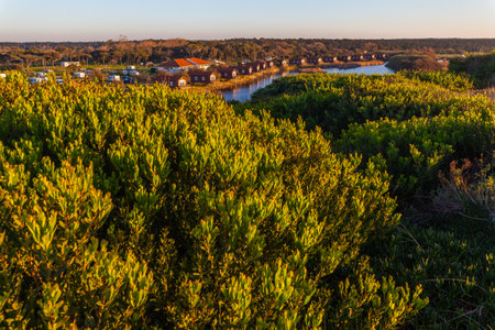 Lush green vegetation overlooks a row of buildings along a waterway, with trees and a clear sky in the backgroundの写真素材