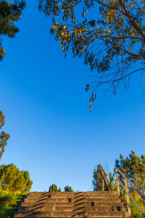 A sunlit stone staircase ascends toward a vibrant blue sky, framed by trees and foliage, creating a serene outdoor sceneの写真素材