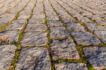 A textured cobblestone road surface, with tufts of grass growing between the stones, is illuminated by warm sunlight casting long shadows, creating a rustic and slightly weathered sceneの写真素材