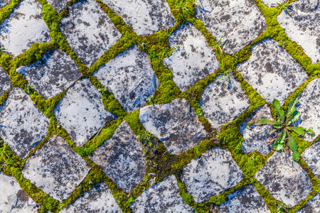A textured cobblestone road surface, with tufts of grass growing between the stones, is illuminated by warm sunlight casting long shadows, creating a rustic and slightly weathered sceneの写真素材