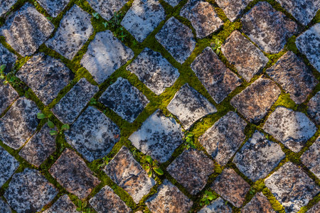 A textured cobblestone road surface, with tufts of grass growing between the stones, is illuminated by warm sunlight casting long shadows, creating a rustic and slightly weathered sceneの写真素材