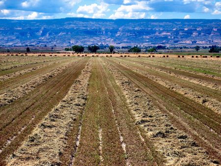 Farm in Western Coloradoの写真素材