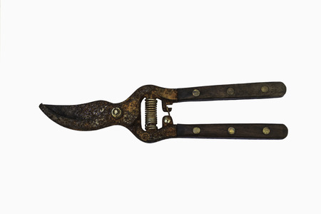 Rust garden Scissors isolated in white backgroundの写真素材