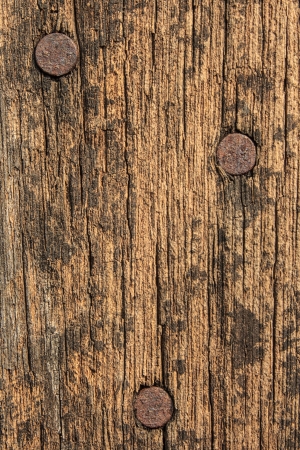 Old plank with nailsの写真素材