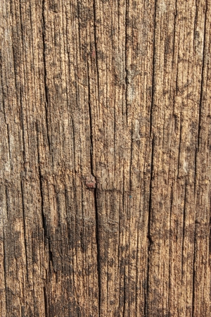 Old plank texture backgroundの写真素材