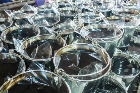 Grass jelly in bucketsの写真素材