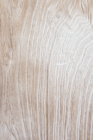 White wood texture の写真素材