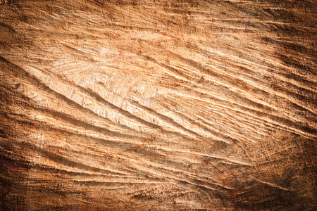 Wood texture/ background.の写真素材
