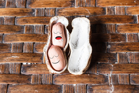 Sleeping cute peanut in shell.の写真素材