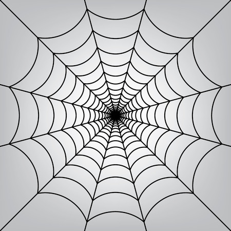 Spider web.のイラスト素材