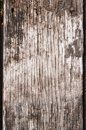 Old wooden plank.の写真素材