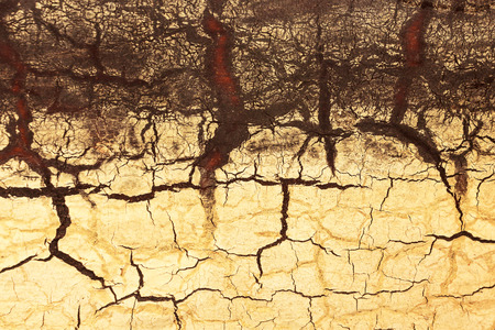 Cracked Wood Background.の写真素材