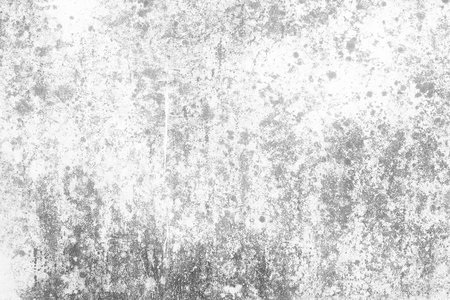 White Grunge Wall Texture Background.の写真素材