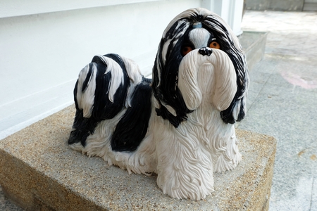 Shih-Tzu dog statue.の写真素材