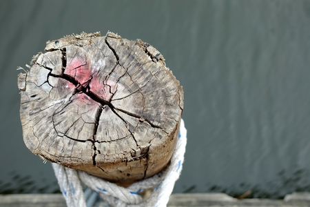 Wooden Pole Tie in Canal.の写真素材