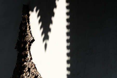 Vintage Thai Sculpture on Concrete Wall with Shadow Background.の写真素材
