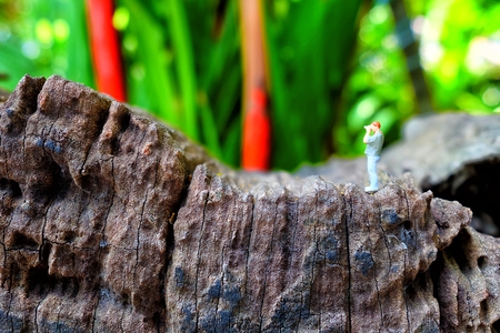 Miniature Figure Photographer with Green Park Background.の写真素材