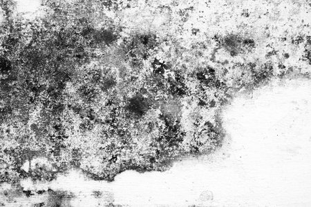 White Grunge Concrete Wall Background.の写真素材