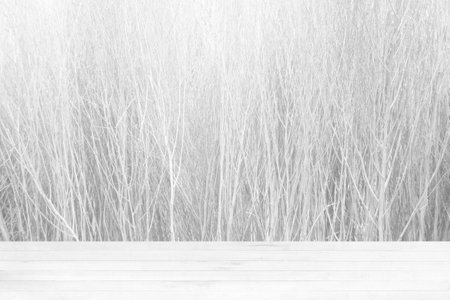White Wood Table with Brushed Wall Texture Background, Suitable for Product Presentation Backdrop, Display, and Mock up.の写真素材