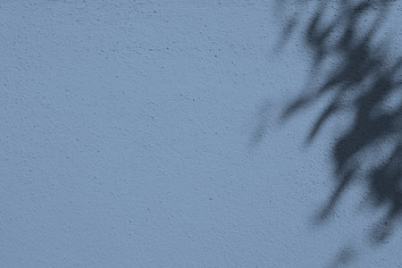 Leaves Shadow on Steel Blue Concrete Wall Background.の写真素材