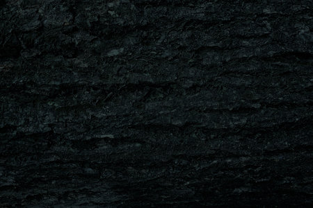 Bark Texture Background in Tidewater Green Tone.の写真素材