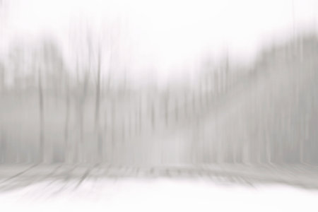 Abstract Motion Blur of Park Backdrop, Suitable for Product Presentation, Display, and Mock up.の写真素材